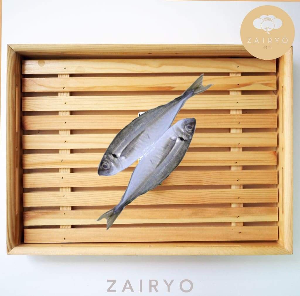 Aji (Horse Mackerel) Sashimi-grade / アジ