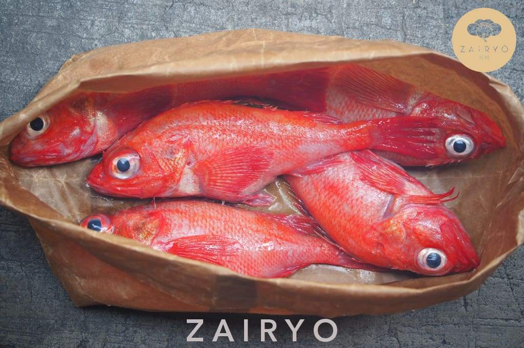 Kinki (Thornyhead) Sashimi-grade / キンキ – Zairyo