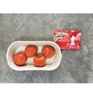Amera Sugar Tomatoes (Shizuoka Prefecture) / 高糖トマト 5PC