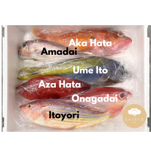 Kyushu Fresh Fish Box (Air-flown & Sashimi-grade!)