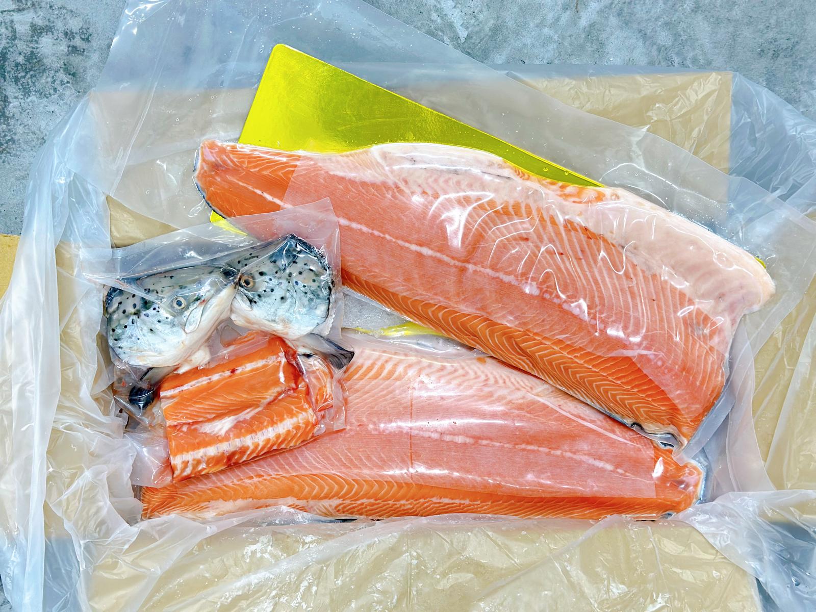 [SUPER VALUE] Aunty Killer Salmon Set (Sashimi Grade, Same Day Fillet) / 鮭フィレット