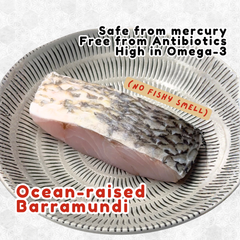 [HIGHLY RECOMMENDED] The Better Barramundi Portion Fillet (Ocean-Raised) 1PC - FRESH