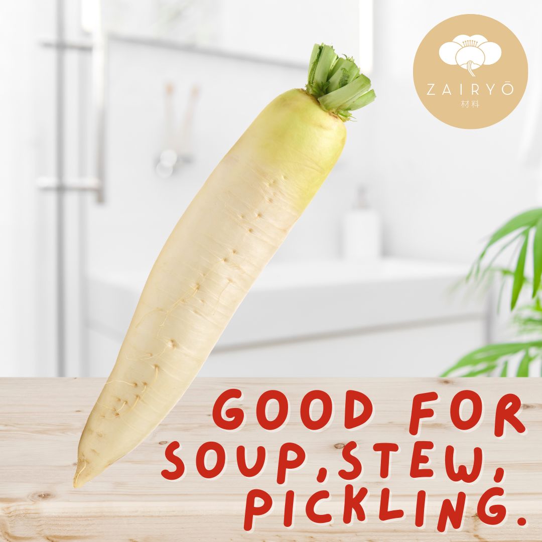 CHITOSE Daikon (Winter Radish) 500-600G / ちとせ大根