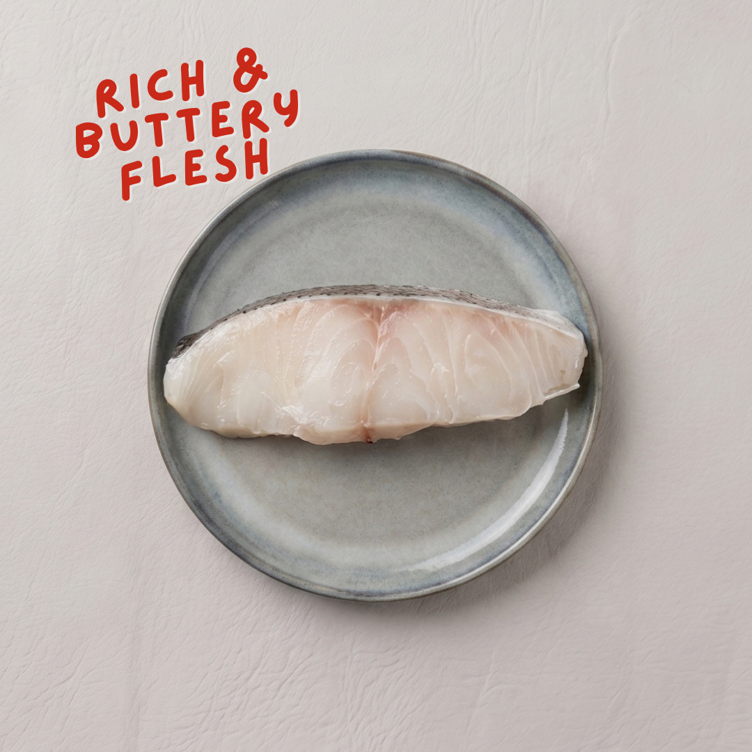 Black Wild-Caught Cod Fillet Gindara 銀鱈 (Sablefish)