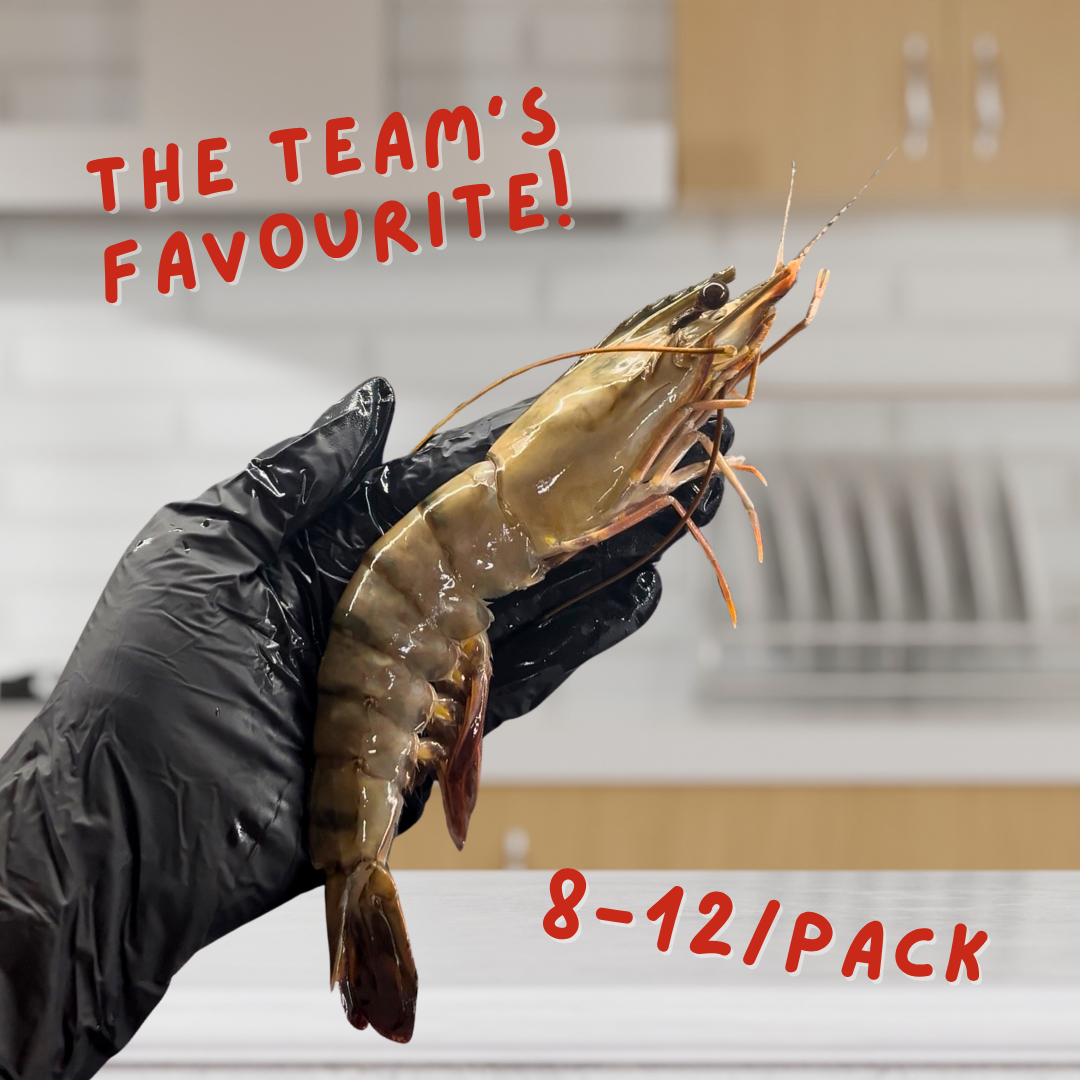 The Better Kuruma Ebi (Tiger Prawn) / 車海老 (10/12) [HIGHLY RECOMMENDED]