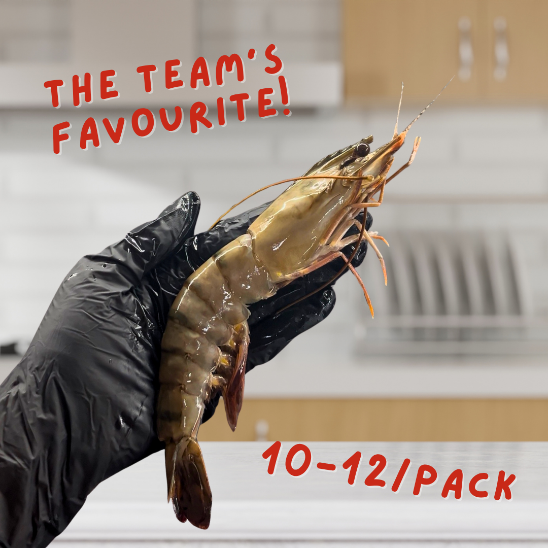 The Better Kuruma Ebi (Tiger Prawn) / 車海老 (10/12) [HIGHLY RECOMMENDED]