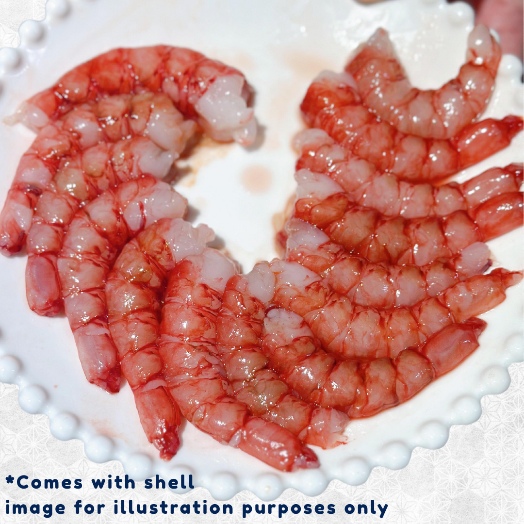 Premium Scarlet Sashimi-grade Red Royal Prawns – Zairyo