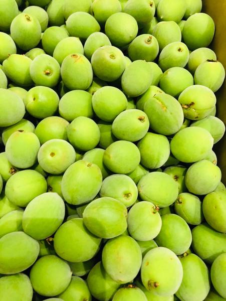 Fresh Green Ume Green Plum 500G / 青梅 Ao Ume [PREORDER]