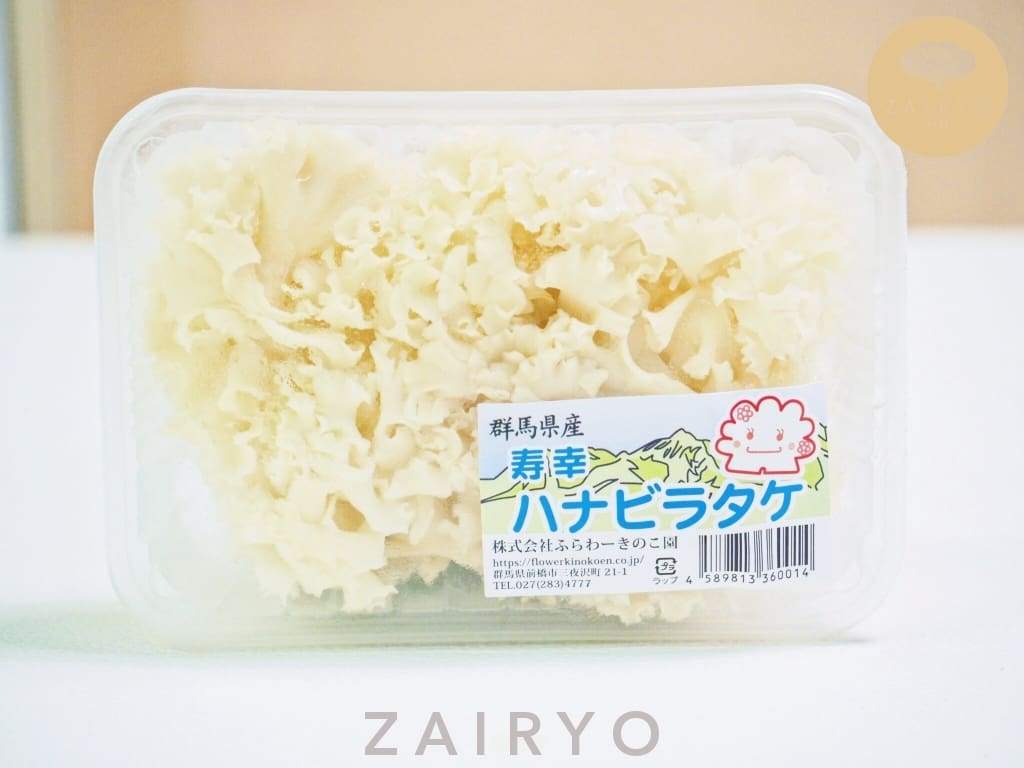 Hanabiratake Mushroom / ハナビラタケ