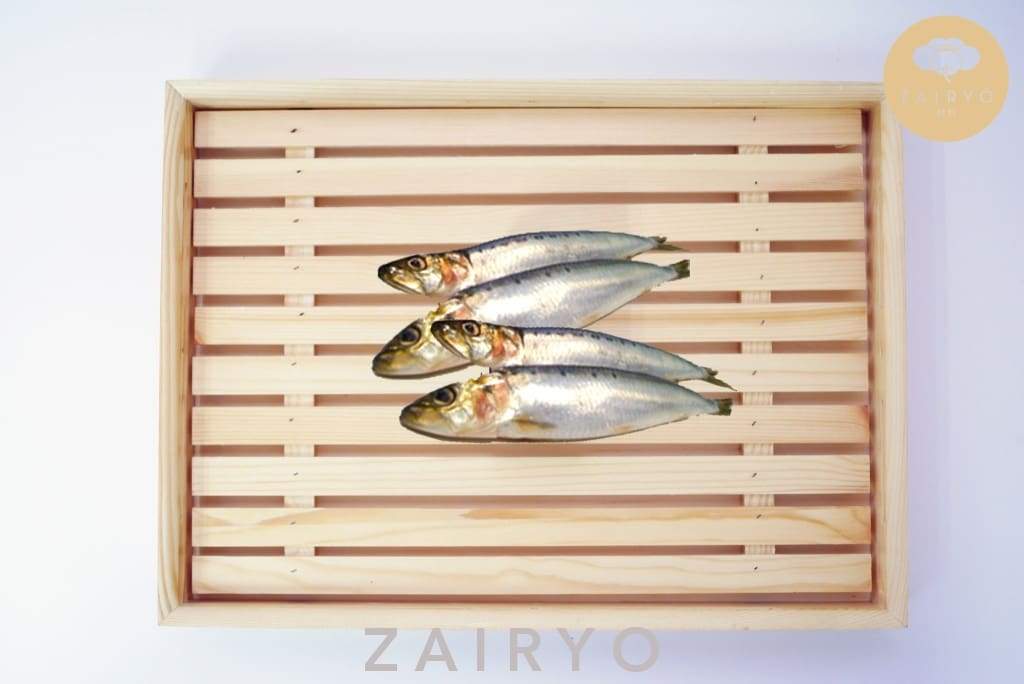 Iwashi (Sardine) Sashimi-grade / 大羽鰯