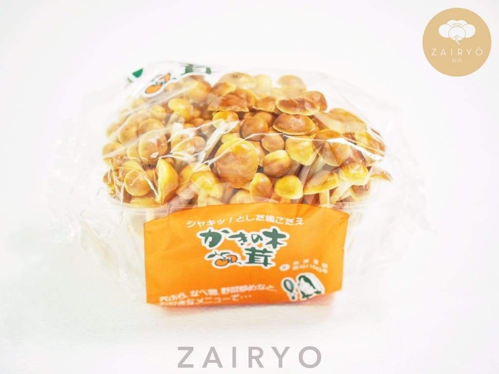 Kakinokitake / かきの木茸