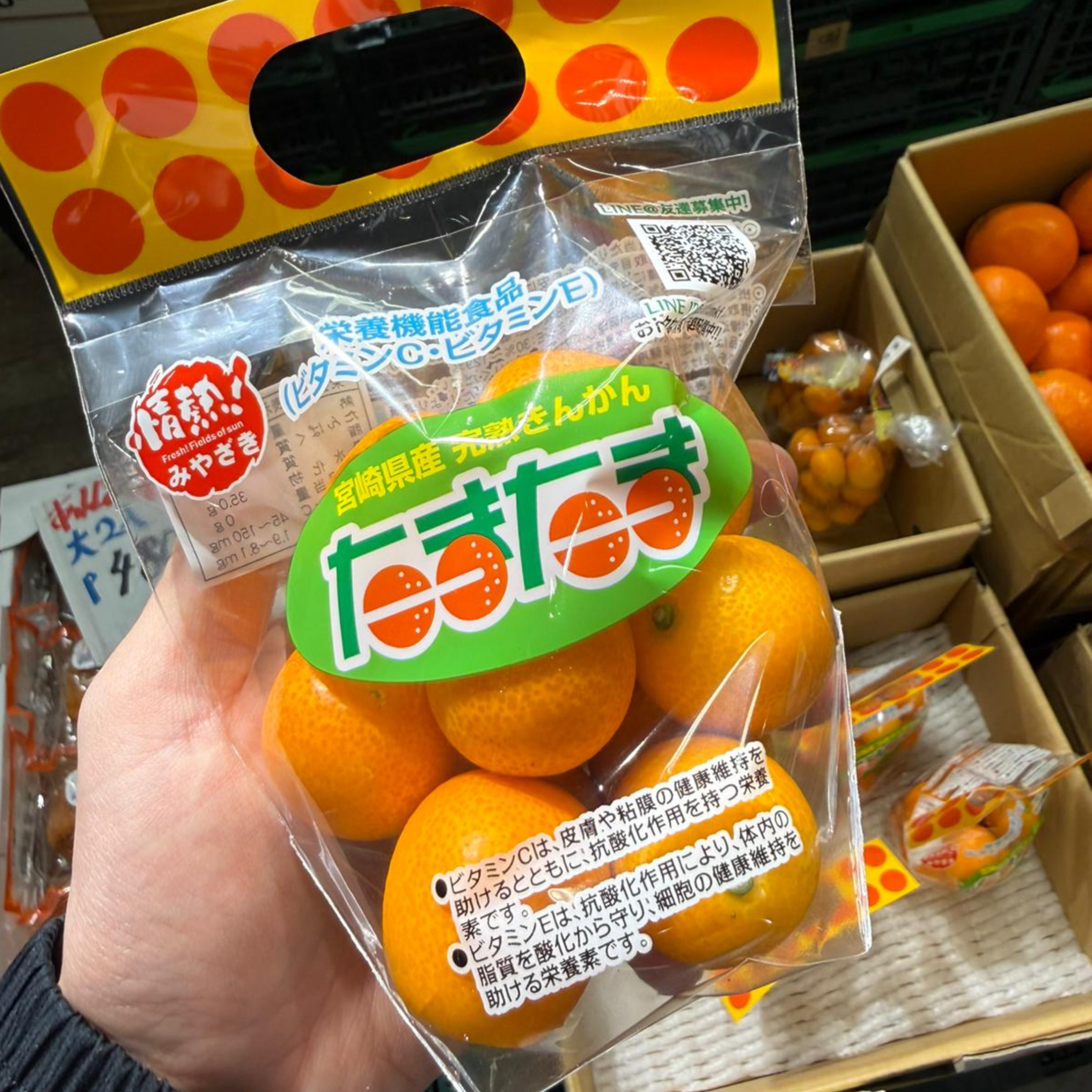 Kinkan (Japanese Kamquat)