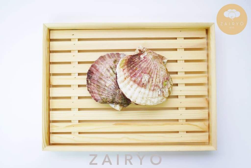 Live Karatsuki Hotate (Live Scallop with shell) / 殻つき帆立貝