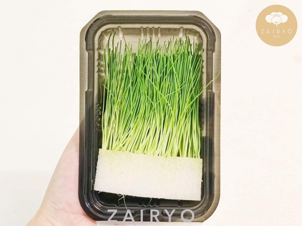 Menegi (Green Onion Bud) / 芽ネギ