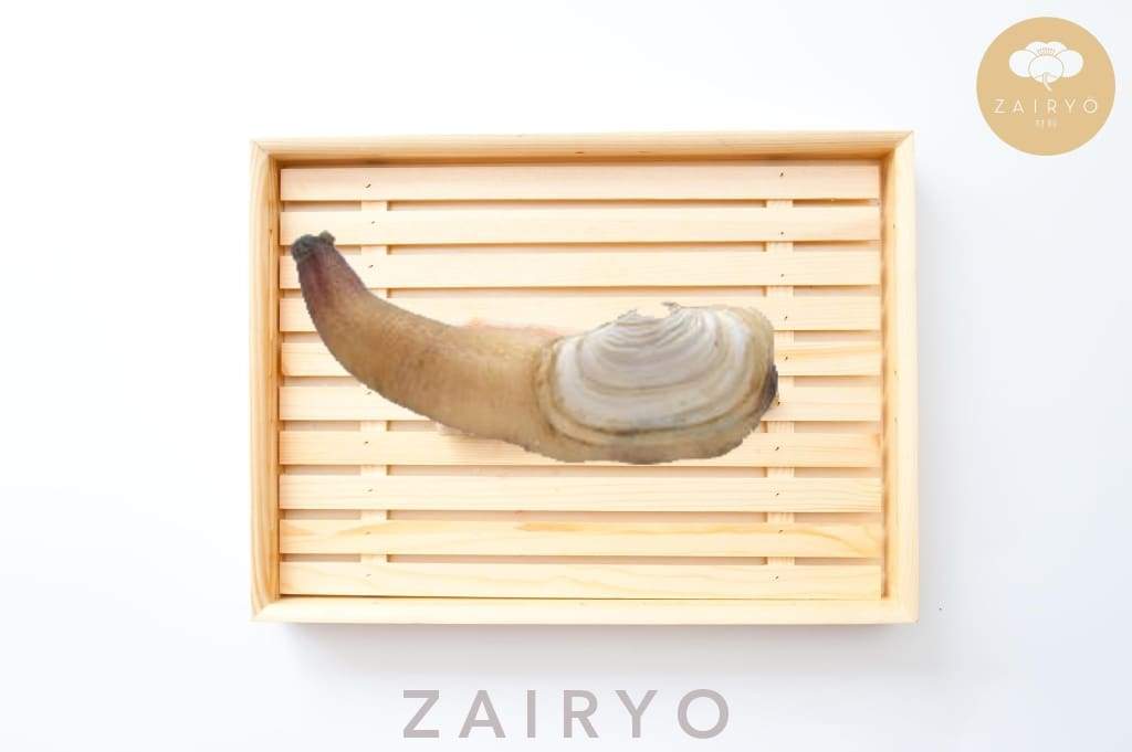 Mirugai (Geoduck) Sashimi-grade / みるがい