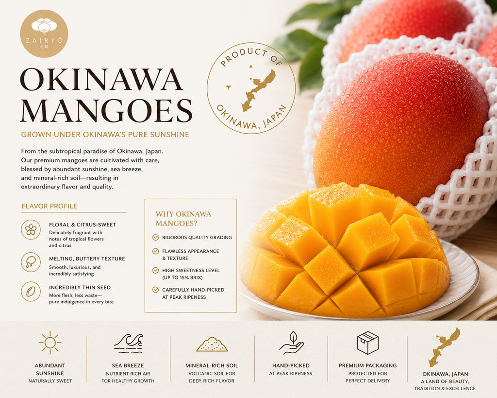 Okinawa Mango 700G (2PC)