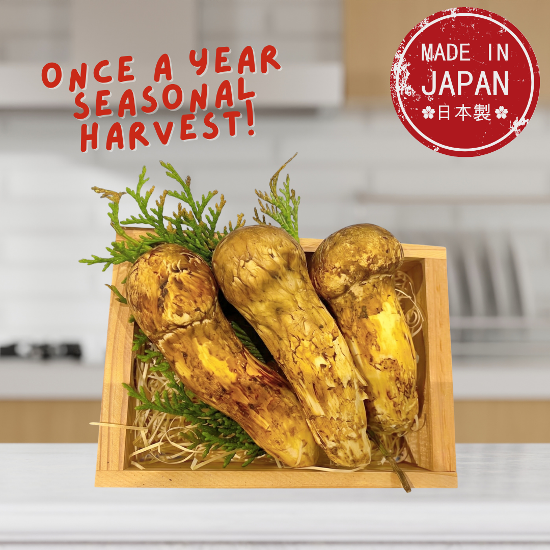 Fresh Matsutake Mushroom