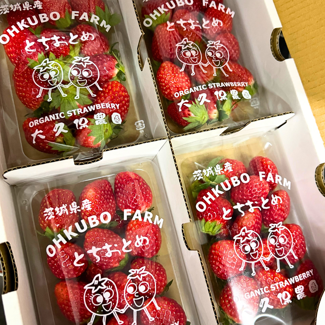 Tochitome Strawberry