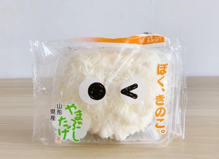 Yamabushidake (Lion's Mane Mushroom) / 山伏茸