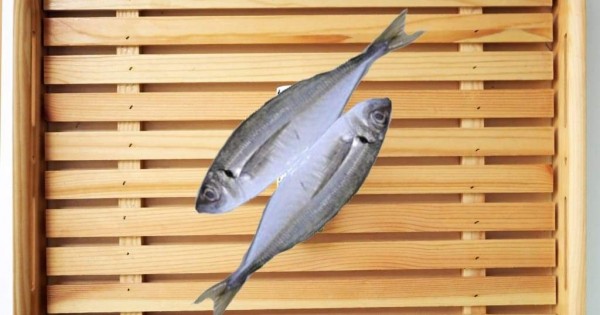 Aji (horse mackerel) from some Omakase I had a while back 
